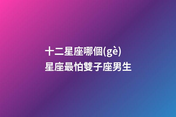 十二星座哪個(gè)星座最怕雙子座男生-第1張-星座運(yùn)勢(shì)-玄機(jī)派