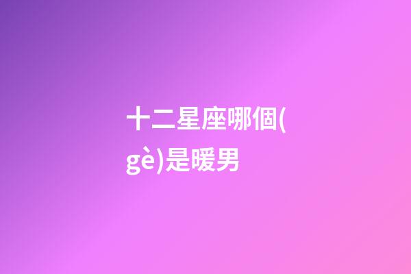 十二星座哪個(gè)是暖男-第1張-星座運(yùn)勢(shì)-玄機(jī)派