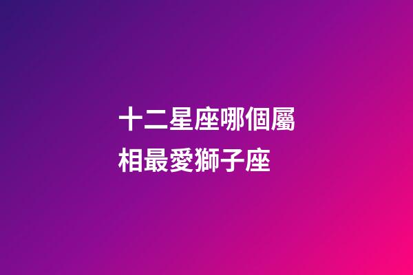 十二星座哪個屬相最愛獅子座-第1張-星座運勢-玄機派