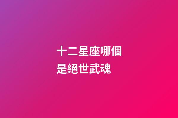 十二星座哪個是絕世武魂-第1張-星座運勢-玄機派
