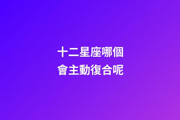 十二星座哪個會主動復合呢-第1張-星座運勢-玄機派