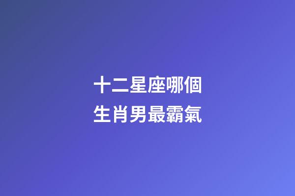 十二星座哪個生肖男最霸氣-第1張-星座運勢-玄機派