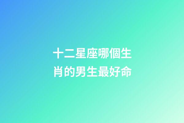 十二星座哪個生肖的男生最好命-第1張-星座運勢-玄機派
