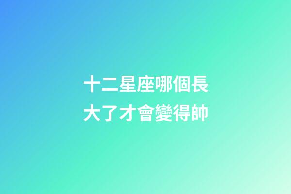 十二星座哪個長大了才會變得帥-第1張-星座運勢-玄機派