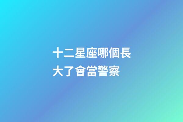 十二星座哪個長大了會當警察-第1張-星座運勢-玄機派