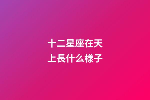 十二星座在天上長什么樣子-第1張-星座運勢-玄機派