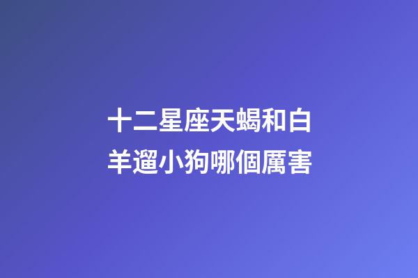 十二星座天蝎和白羊遛小狗哪個厲害-第1張-星座運勢-玄機派