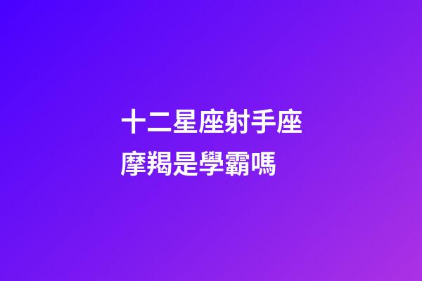 十二星座射手座摩羯是學霸嗎-第1張-星座運勢-玄機派
