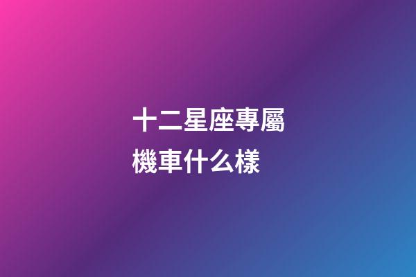 十二星座專屬機車什么樣