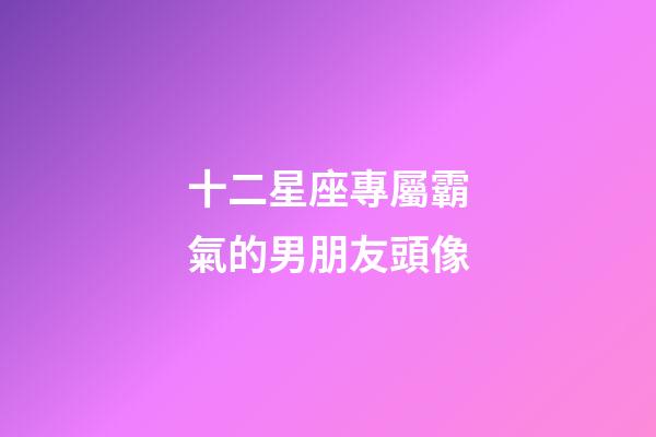 十二星座專屬霸氣的男朋友頭像-第1張-星座運勢-玄機派