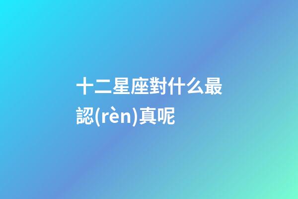 十二星座對什么最認(rèn)真呢-第1張-星座運(yùn)勢-玄機(jī)派