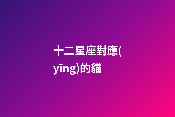 十二星座對應(yīng)的貓