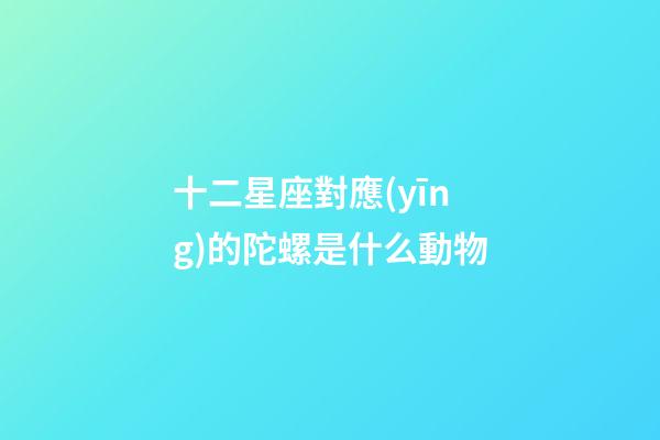 十二星座對應(yīng)的陀螺是什么動物