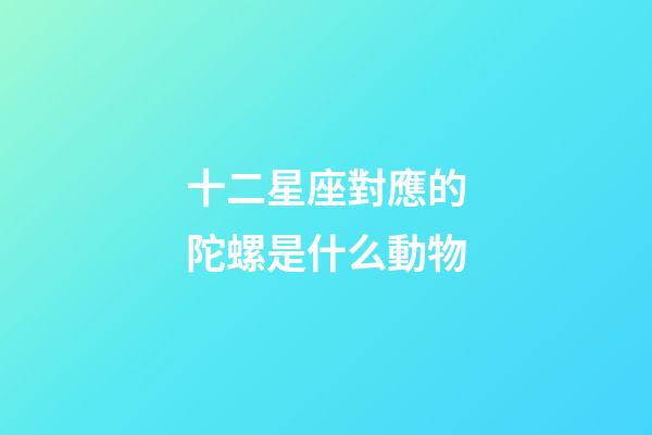 十二星座對應的陀螺是什么動物