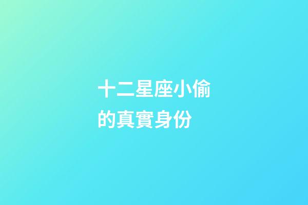 十二星座小偷的真實身份-第1張-星座運勢-玄機派