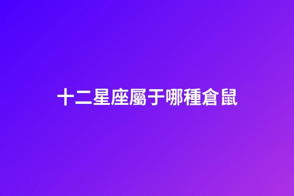 十二星座屬于哪種倉鼠-第1張-星座運勢-玄機派