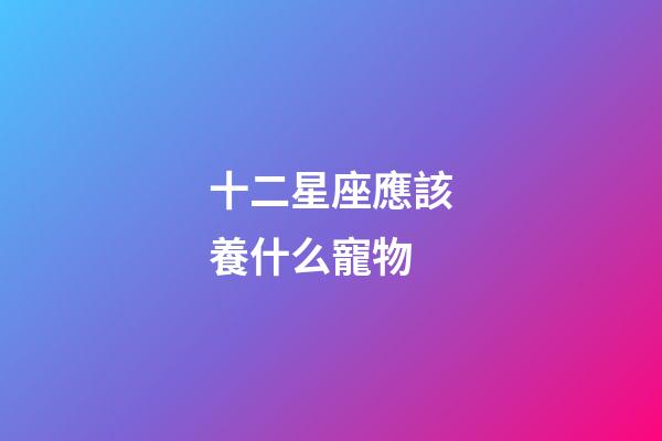十二星座應該養什么寵物-第1張-星座運勢-玄機派