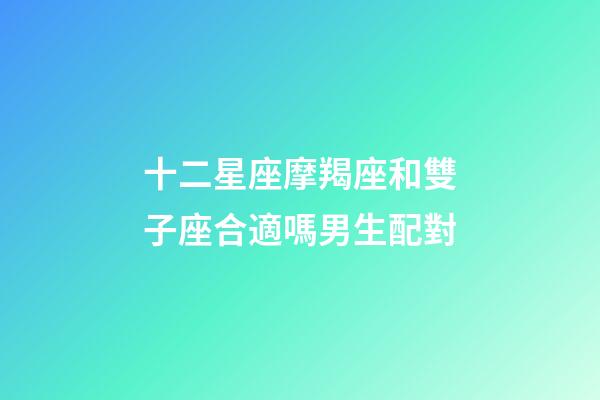 十二星座摩羯座和雙子座合適嗎男生配對-第1張-星座運勢-玄機派