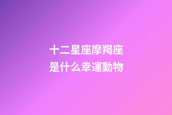 十二星座摩羯座是什么幸運動物-第1張-星座運勢-玄機派