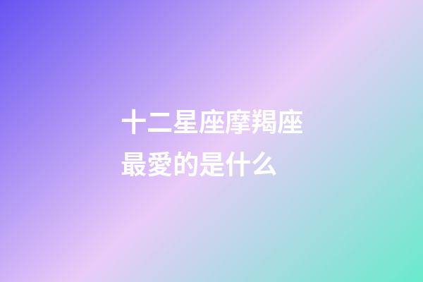 十二星座摩羯座最愛的是什么-第1張-星座運勢-玄機派