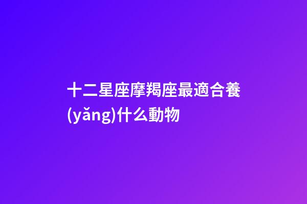 十二星座摩羯座最適合養(yǎng)什么動物-第1張-星座運(yùn)勢-玄機(jī)派