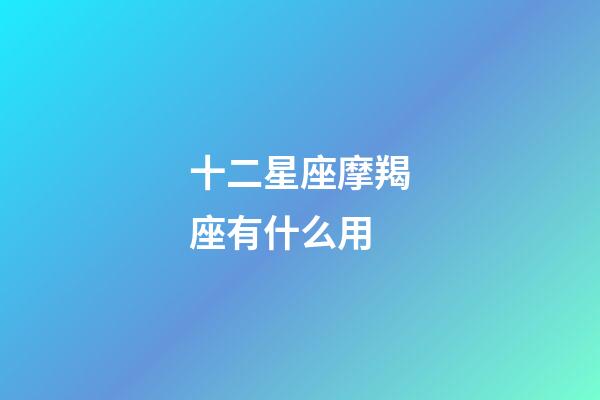 十二星座摩羯座有什么用-第1張-星座運勢-玄機派
