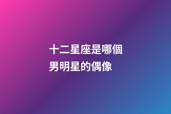 十二星座是哪個男明星的偶像-第1張-星座運勢-玄機派