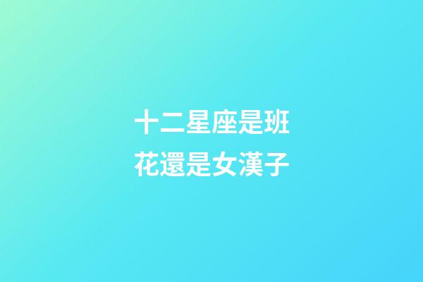 十二星座是班花還是女漢子-第1張-星座運勢-玄機派