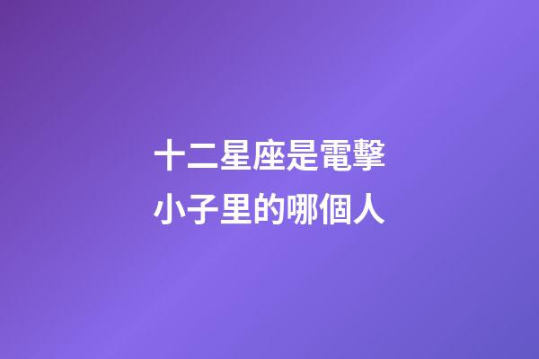 十二星座是電擊小子里的哪個人-第1張-星座運勢-玄機派