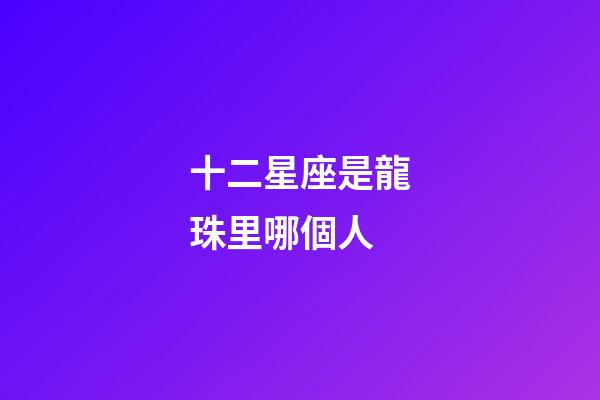 十二星座是龍珠里哪個人