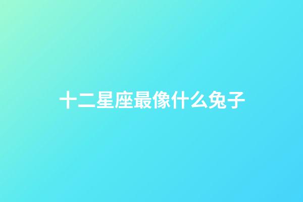 十二星座最像什么兔子-第1張-星座運勢-玄機派