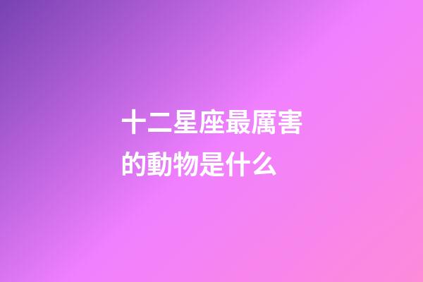 十二星座最厲害的動物是什么-第1張-星座運勢-玄機(jī)派