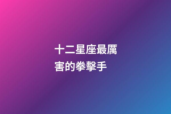 十二星座最厲害的拳擊手