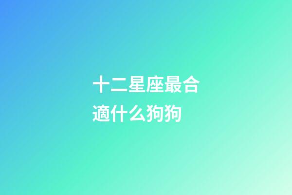 十二星座最合適什么狗狗-第1張-星座運勢-玄機派