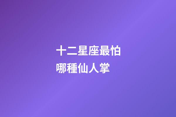 十二星座最怕哪種仙人掌-第1張-星座運勢-玄機派