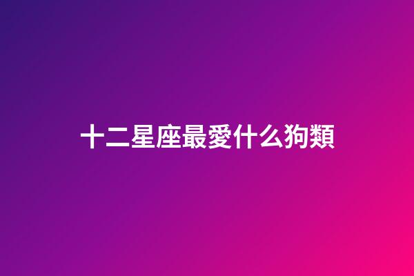 十二星座最愛什么狗類-第1張-星座運勢-玄機派