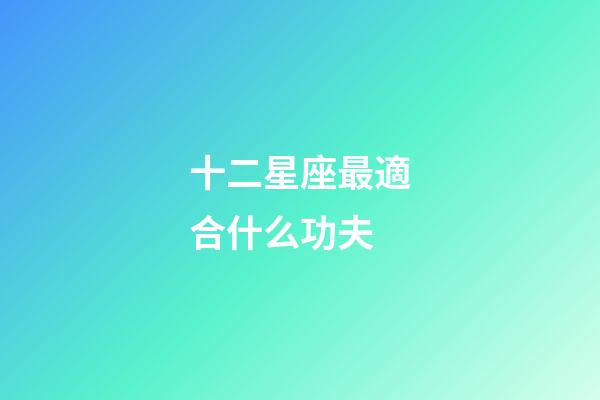 十二星座最適合什么功夫-第1張-星座運(yùn)勢-玄機(jī)派
