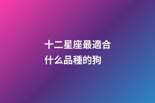 十二星座最適合什么品種的狗-第1張-星座運(yùn)勢(shì)-玄機(jī)派