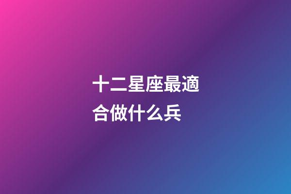 十二星座最適合做什么兵-第1張-星座運勢-玄機派