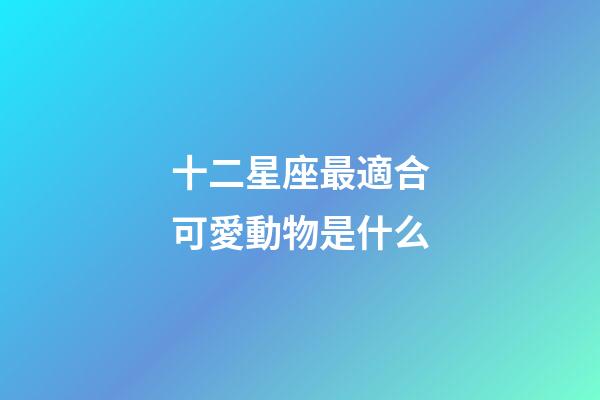 十二星座最適合可愛動物是什么-第1張-星座運勢-玄機派