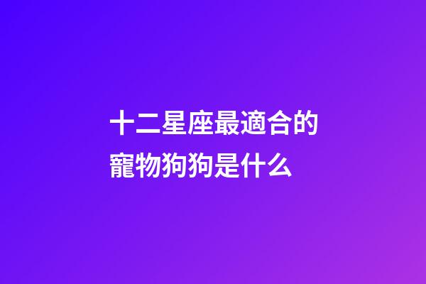 十二星座最適合的寵物狗狗是什么-第1張-星座運勢-玄機派