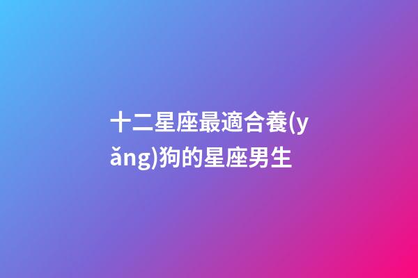 十二星座最適合養(yǎng)狗的星座男生-第1張-星座運勢-玄機派
