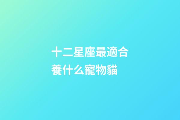 十二星座最適合養什么寵物貓-第1張-星座運勢-玄機派