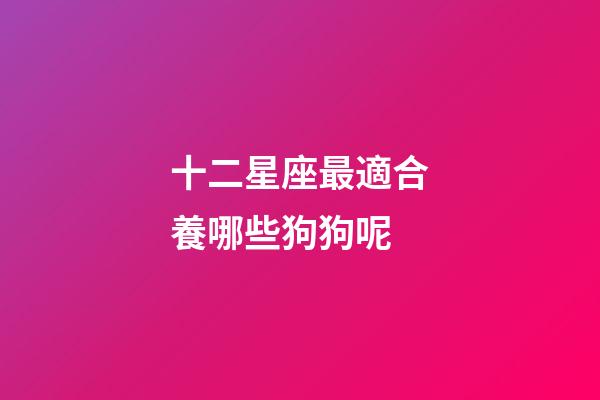 十二星座最適合養哪些狗狗呢-第1張-星座運勢-玄機派
