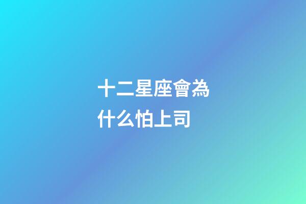 十二星座會為什么怕上司-第1張-星座運勢-玄機派