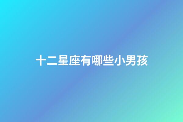 十二星座有哪些小男孩-第1張-星座運勢-玄機派