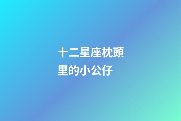 十二星座枕頭里的小公仔