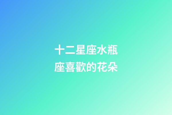 十二星座水瓶座喜歡的花朵-第1張-星座運勢-玄機派