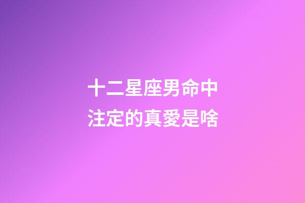 十二星座男命中注定的真愛是啥-第1張-星座運(yùn)勢-玄機(jī)派
