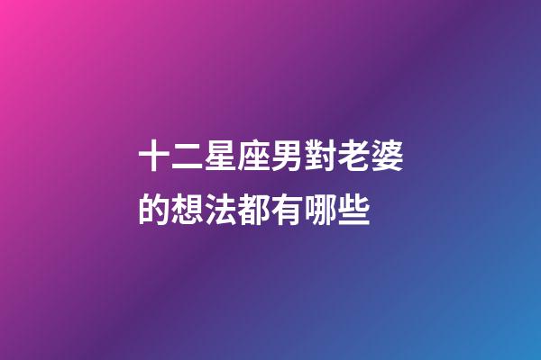 十二星座男對老婆的想法都有哪些-第1張-星座運勢-玄機派
